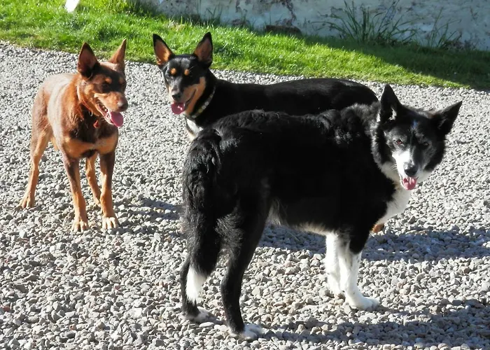 Barndromin Farm Bed And Breakfast