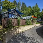 Dundonald Landing Palms 2