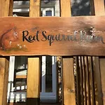 Red Squirrel Room
