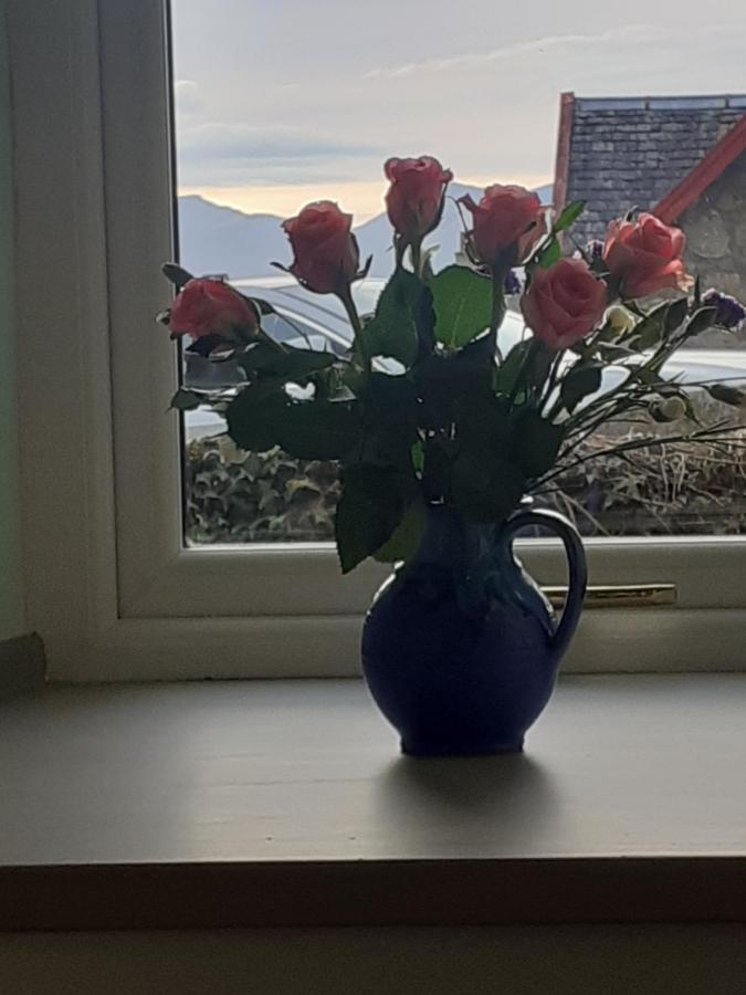 Apartment The Coorie Inviting 1-bed In Oban