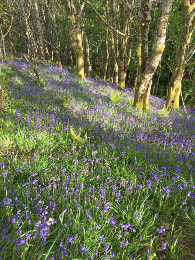 Inverasdale * Oban