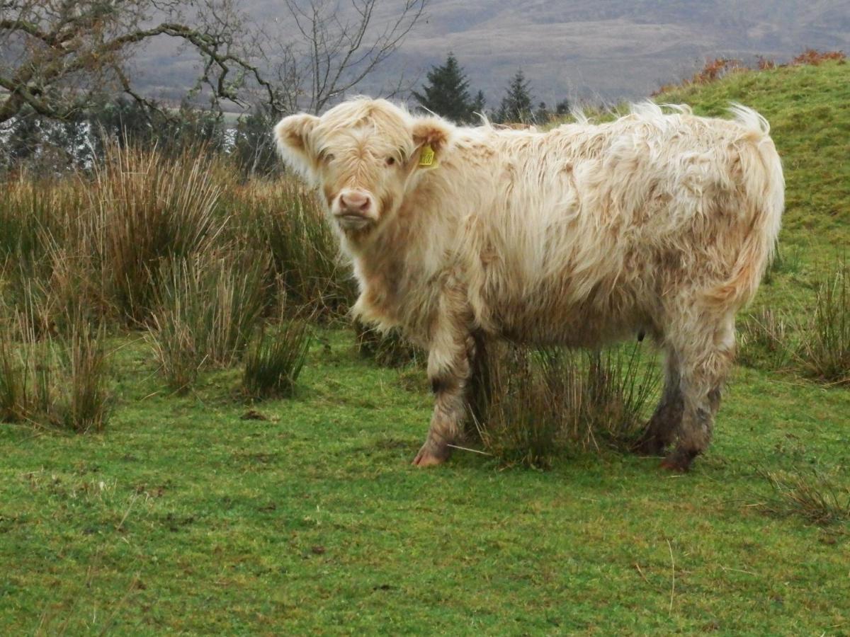 Kintaline-spacious Private Well Equipped On Small Farm, Close To Beach, Woods Holiday home *