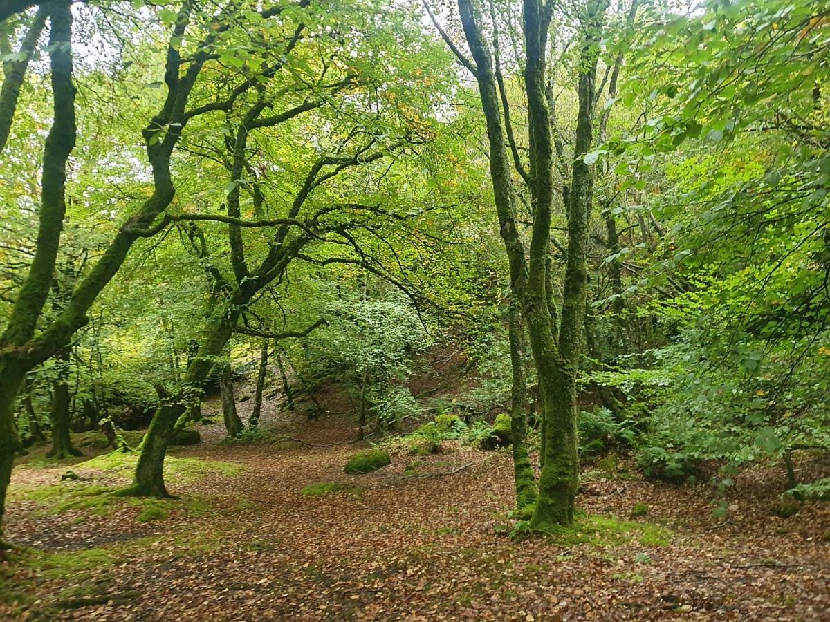 Holiday home Kintaline-spacious Private Well Equipped On Small Farm, Close To Beach, Woods