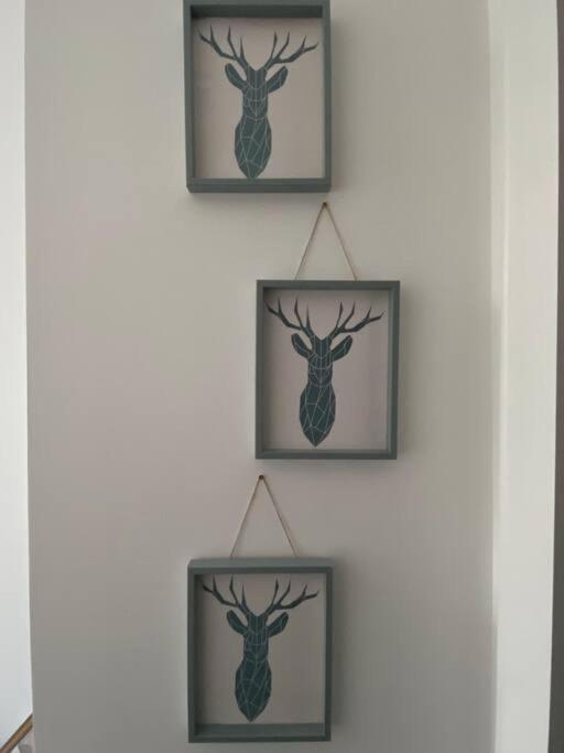 Apartment Newly Refurbished Town Centre *