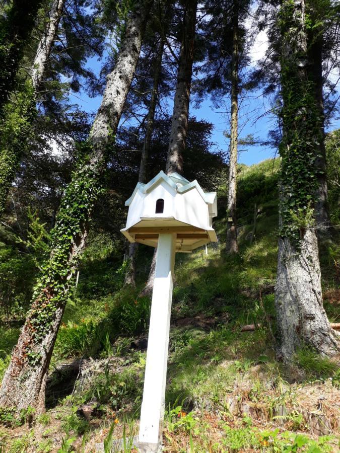 Bed & Breakfast Garragh Mhor