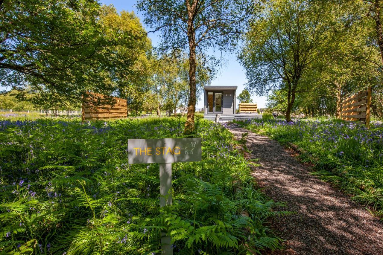 Holiday home The Stag, Luxury Pod With Hot Tub, Croft4glamping Oban
