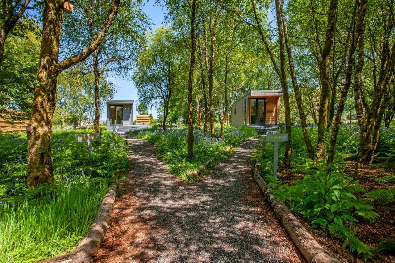 Holiday home The Stag, Luxury Pod With Hot Tub, Croft4glamping