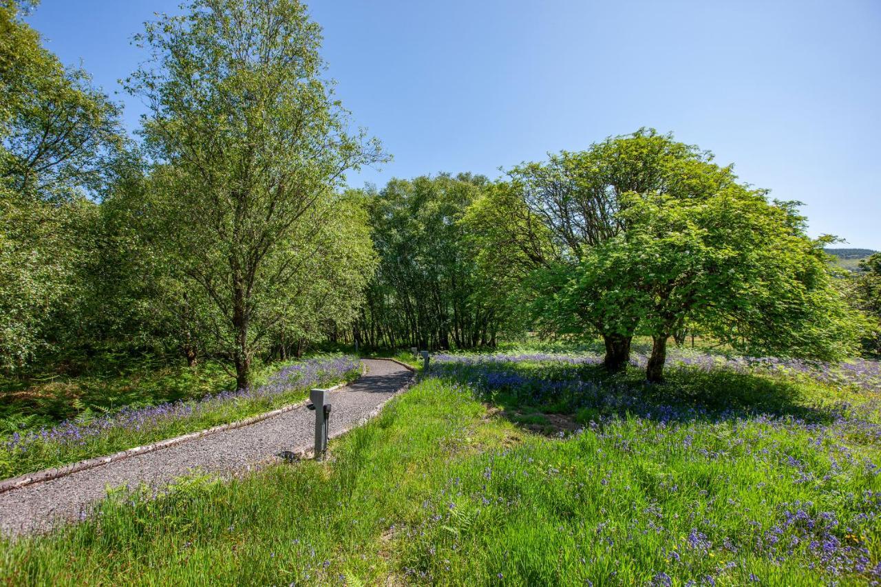 The Stag, Luxury Pod With Hot Tub, Croft4glamping Holiday home *