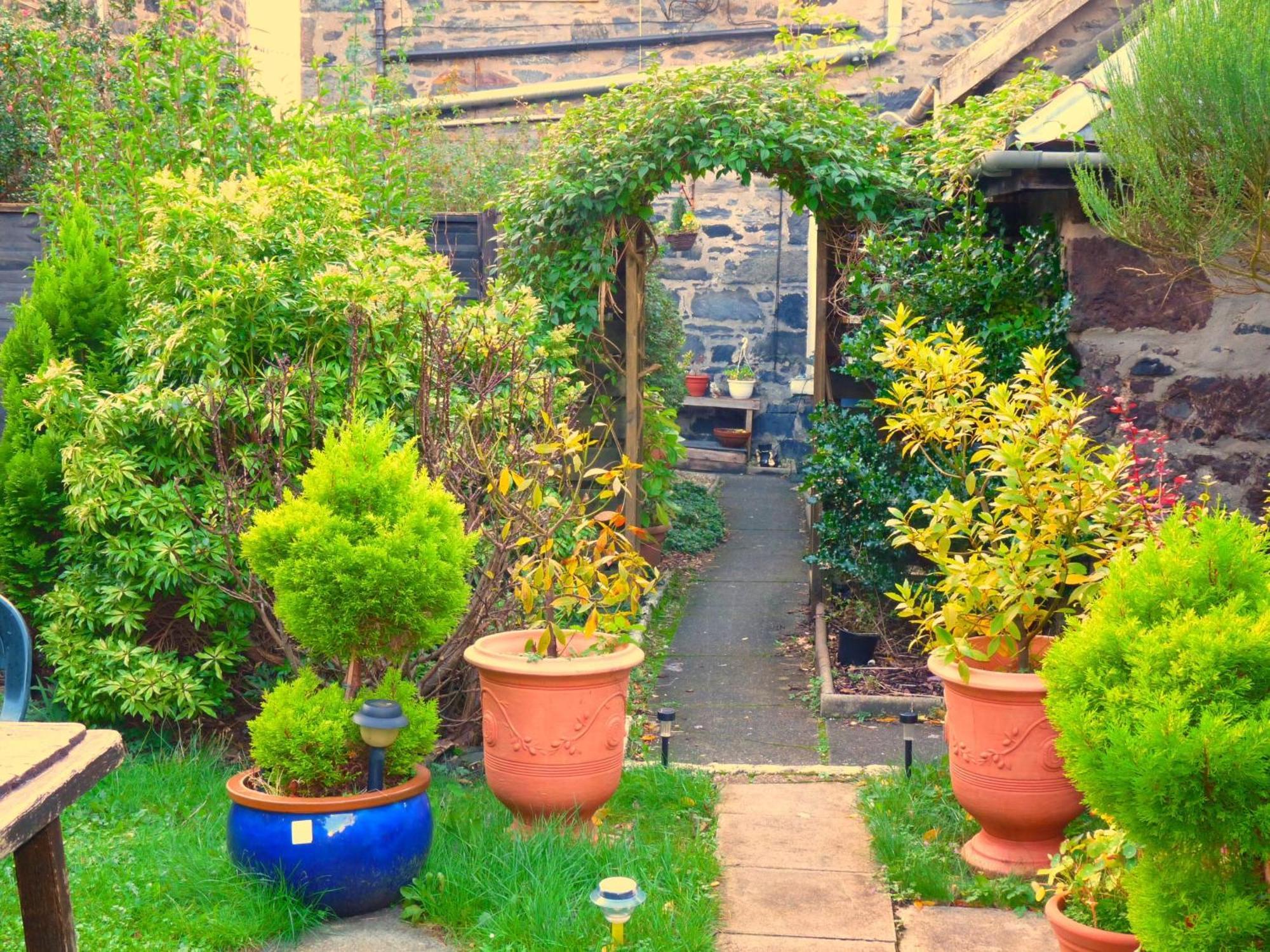 Guest house Arbour Guest House