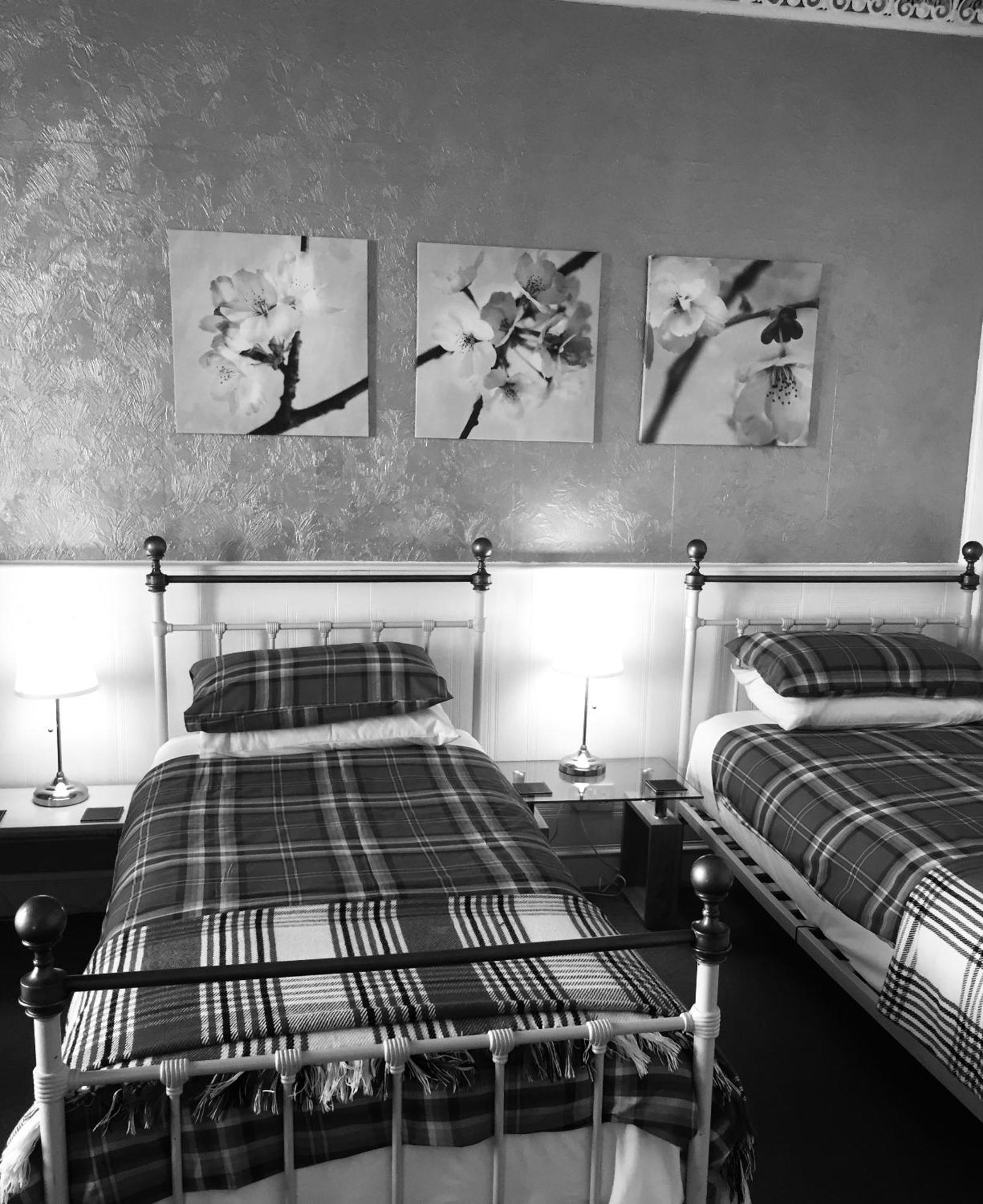 Guest house Cameron 3*