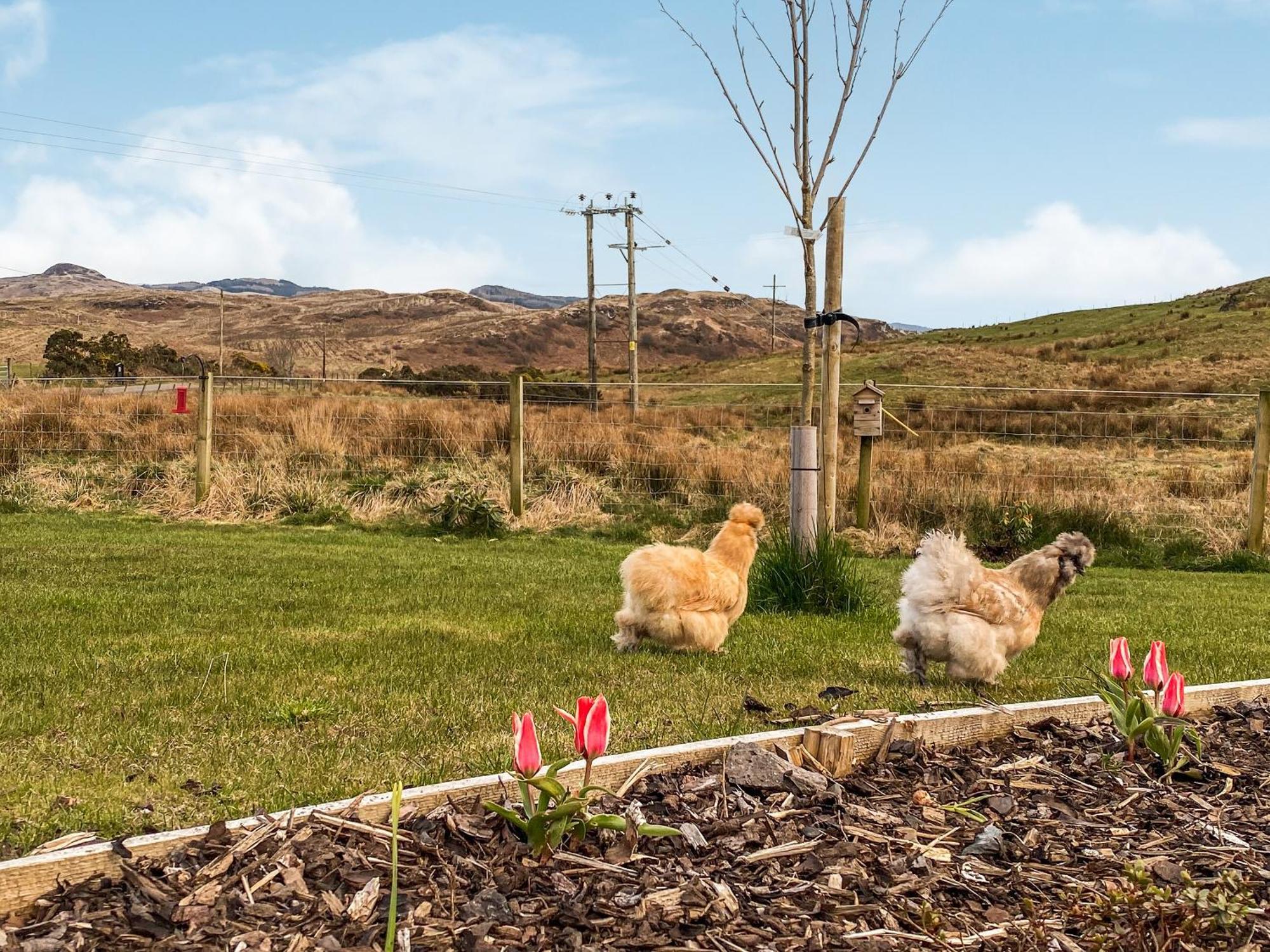 Holiday home Maggies Oban