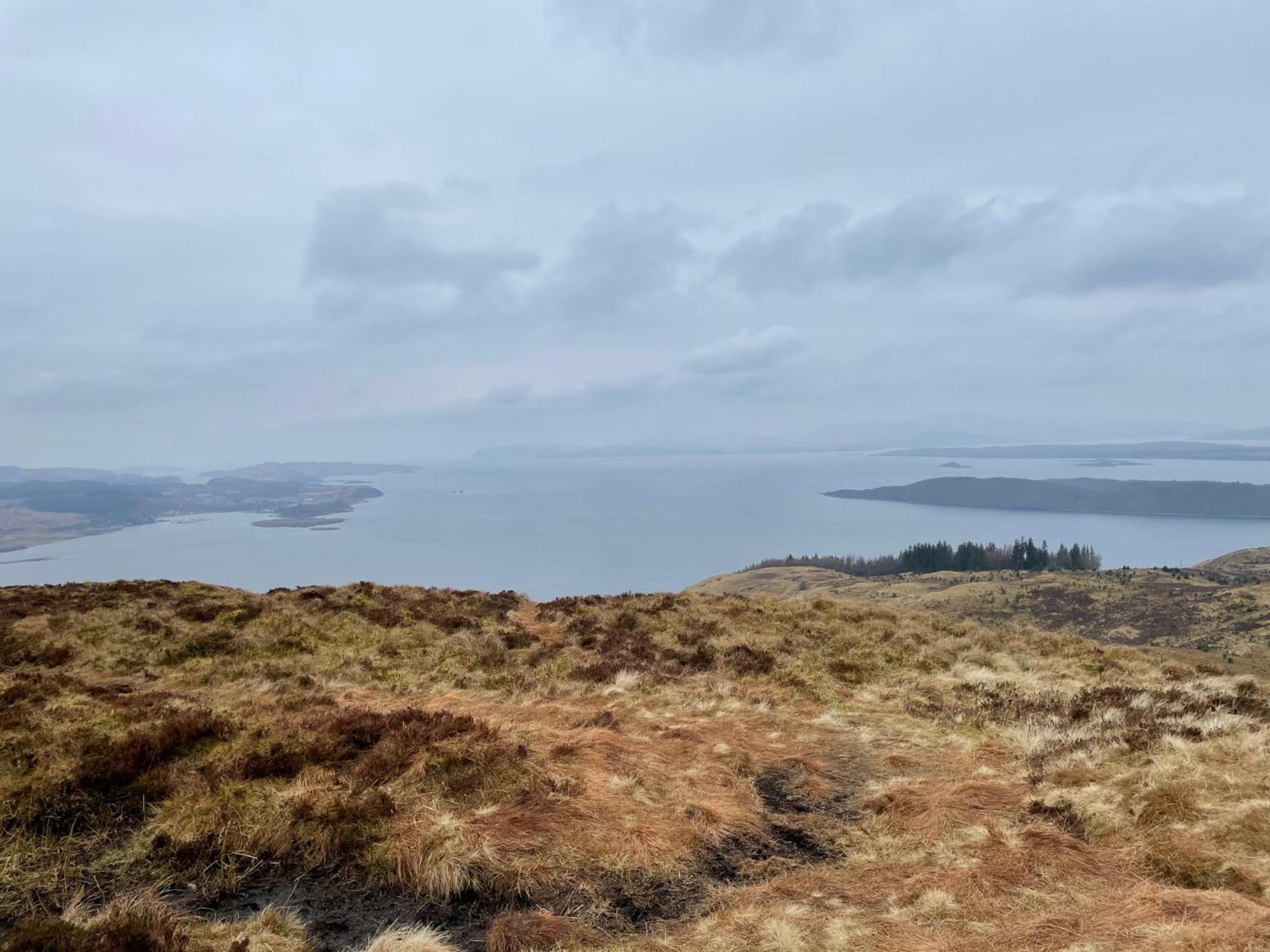 Tawny Owl Pod With Hot Tub * Oban