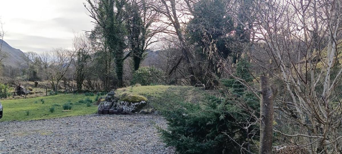 Red Deer At Fanans Holiday home