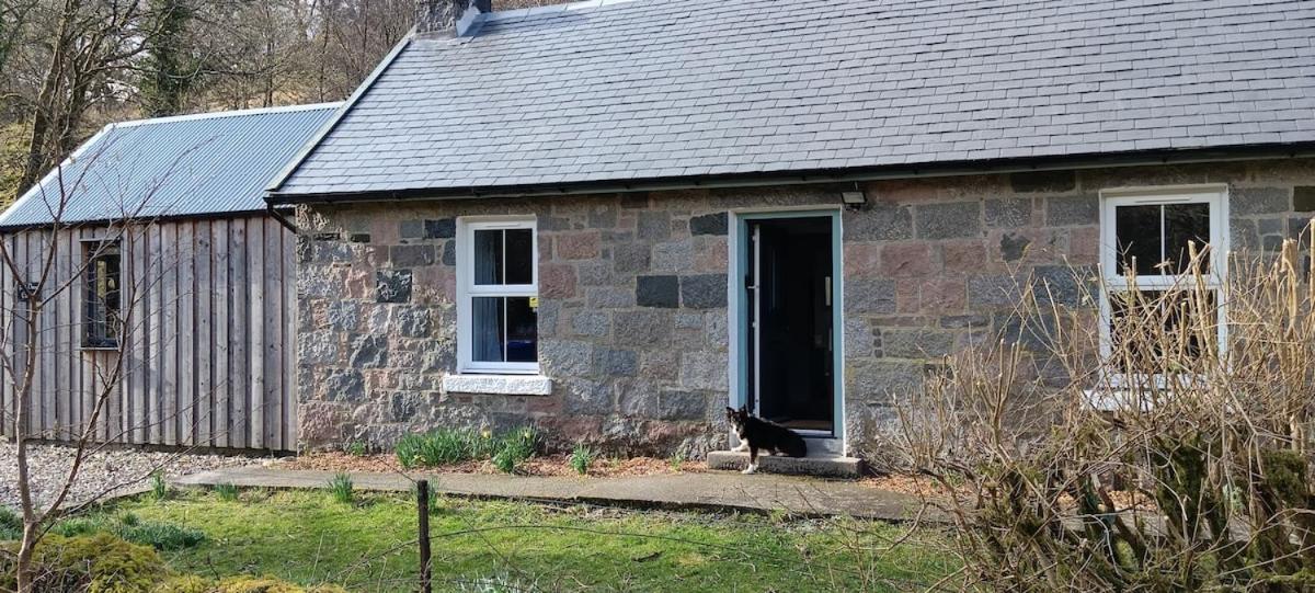 Red Deer At Fanans Holiday home Oban