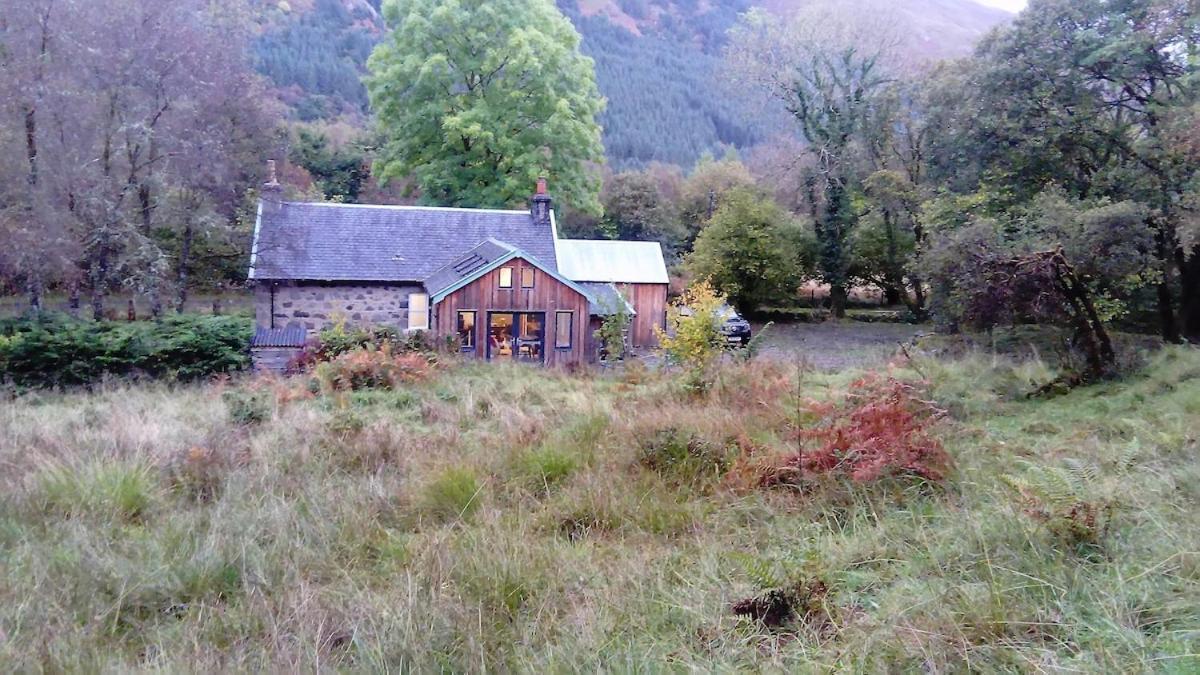 Red Deer At Fanans Holiday home Oban