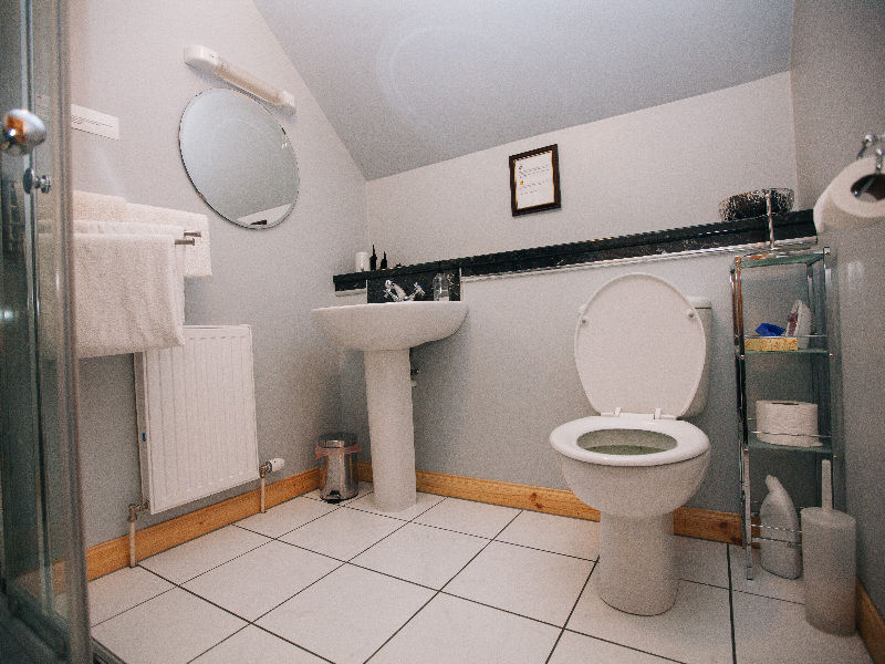 Hotel Shenavallie Bed & Breakfast 3*