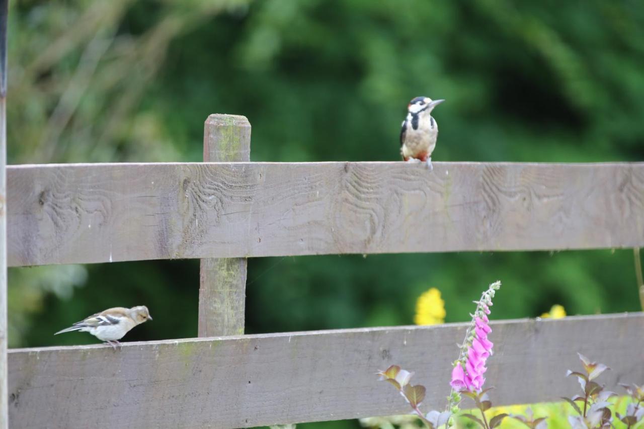 Inverasdale Bed & Breakfast *
