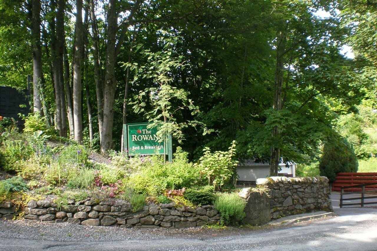 The Rowans 5*