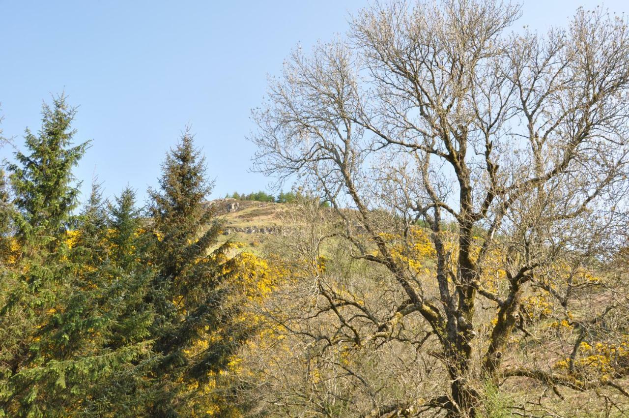 Sheep Fank Bed & Breakfast 4*