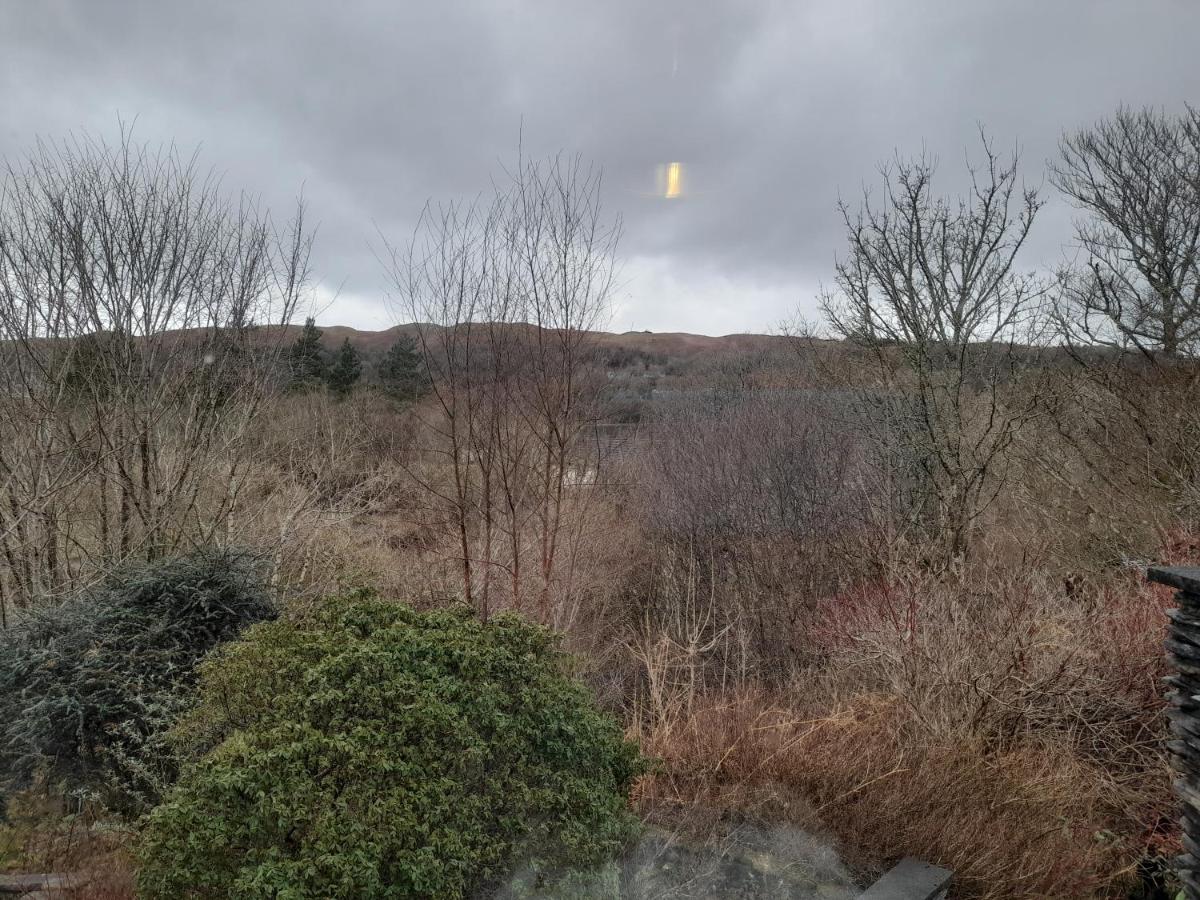 Bed & Breakfast Elderslie 2*