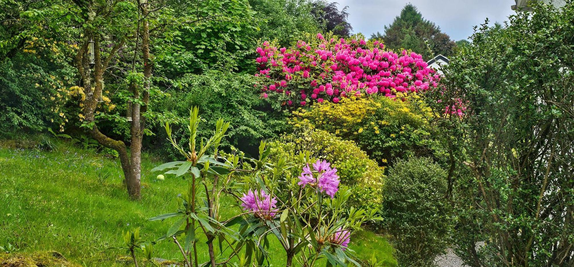 Bed & Breakfast Ards House Oban