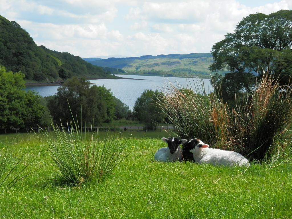 Bed & Breakfast Barndromin Farm *