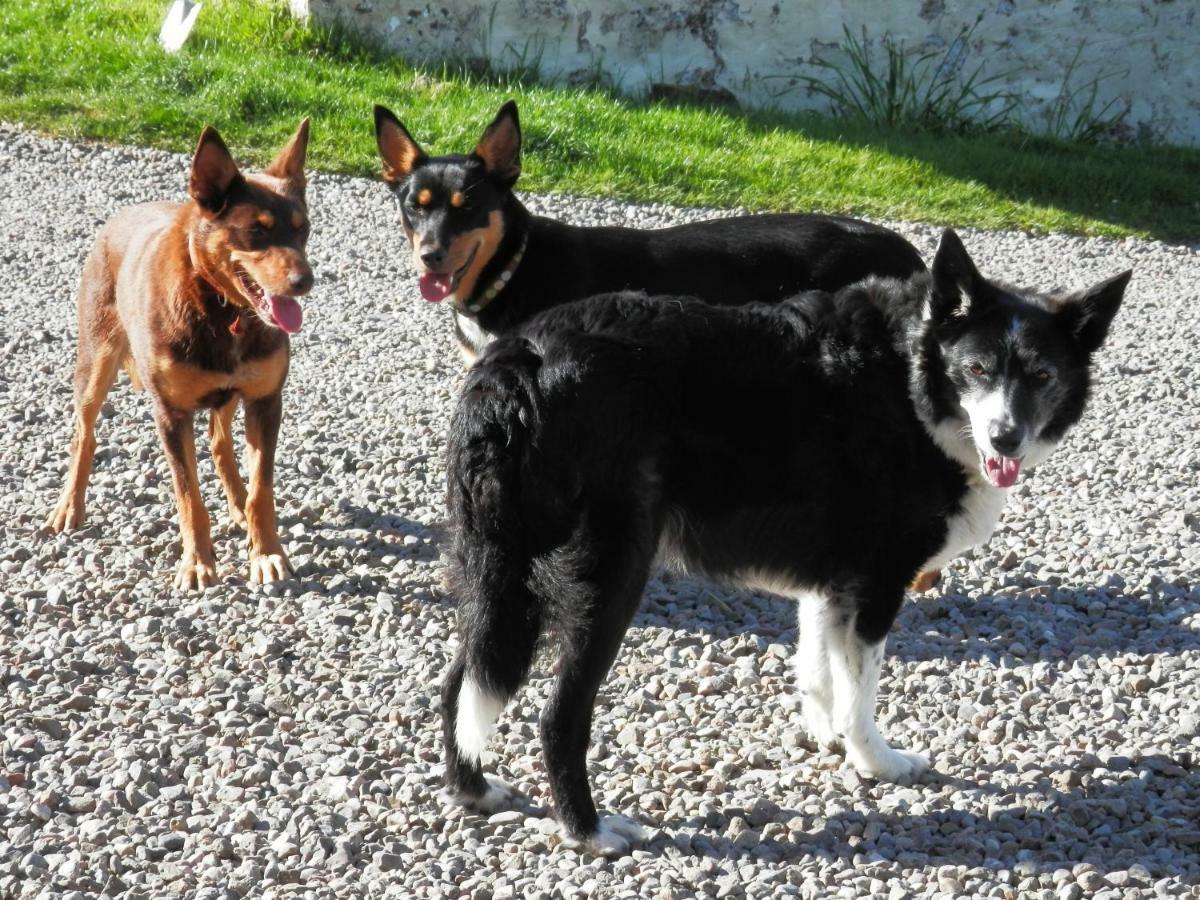 Bed & Breakfast Barndromin Farm Oban